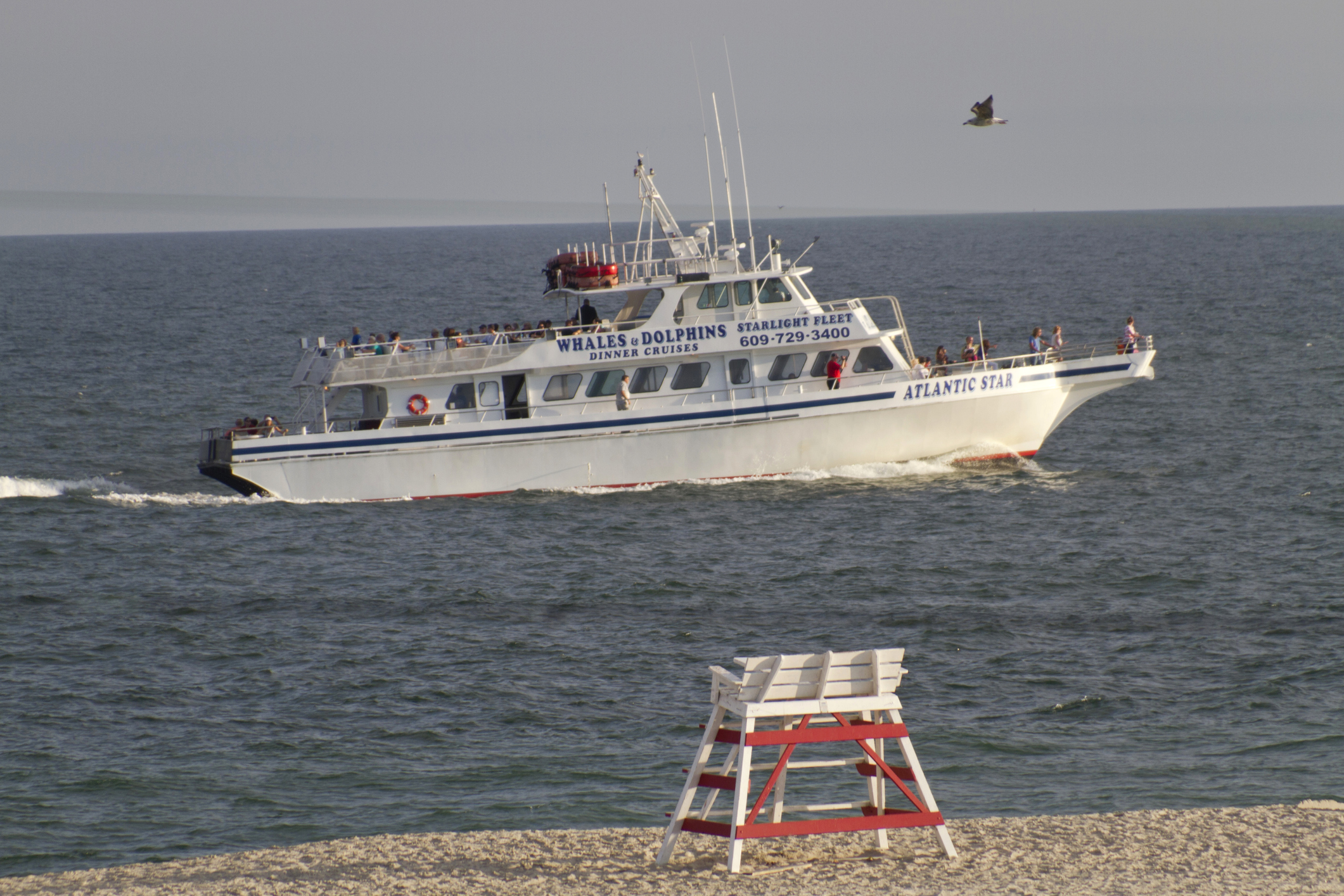 Cape May, New Jersey, USA - Septmember 4, 2014: A boat carrying tourists out on the ocean to see dolphins and whales passes by a lifeguard stand as a seagull flies past on September 4, 2014 on the beach of Cape May